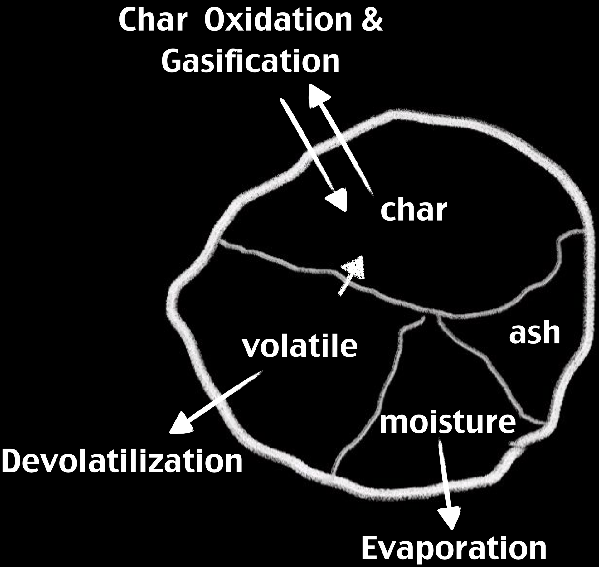 Coal particle: char oxidation, devolatilization, evaporation